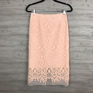 LAST CHANCE!! KATHRINE KELLY | Blush Pencil Skirt Sheer Overlay